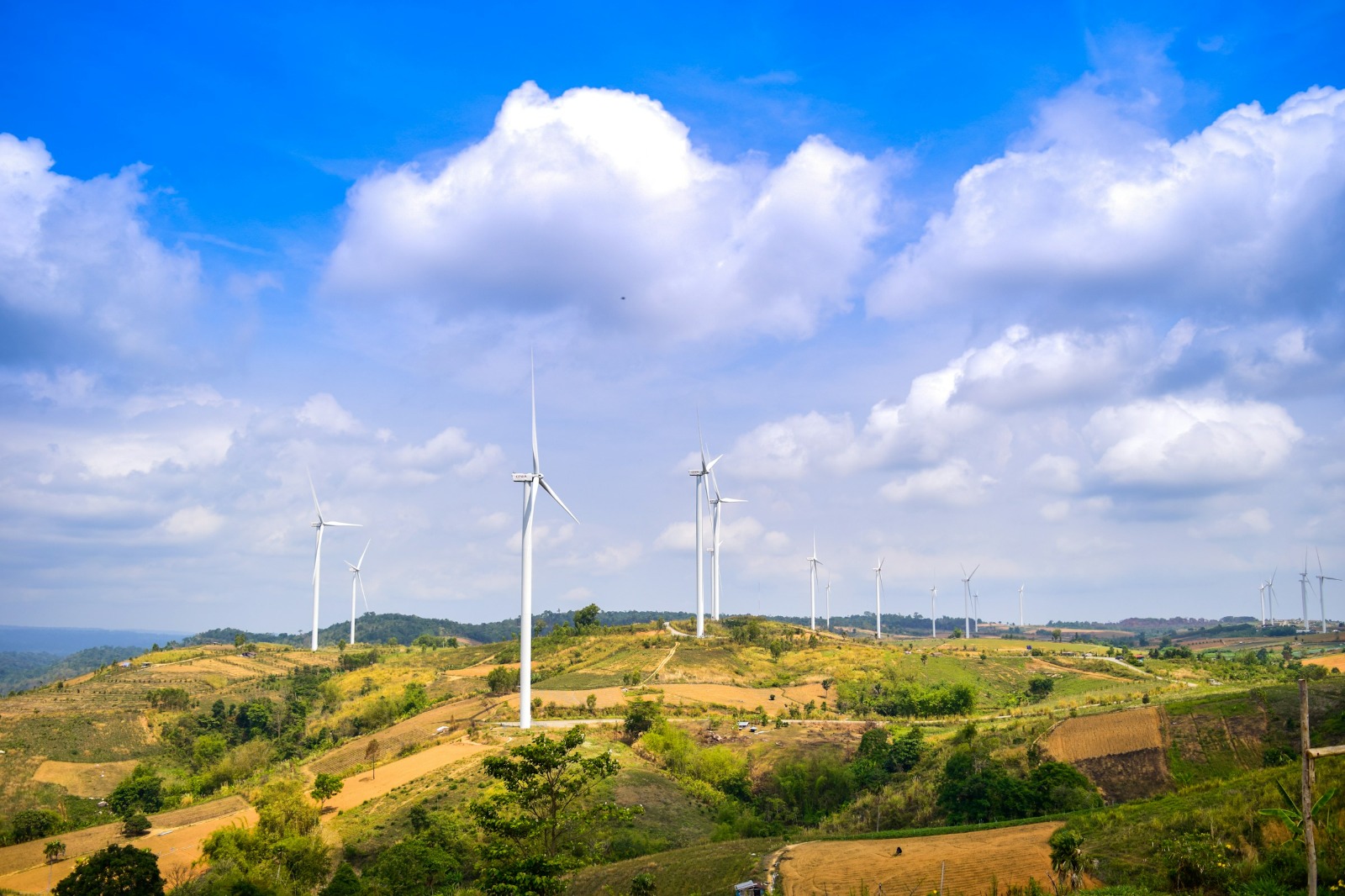 Smart Homes & Sustainable Living: The Agami Approach